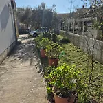 Bugenvila1 Daire