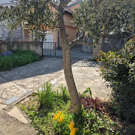 Bugenvila1 Rogoznica (Sibenik-Knin)